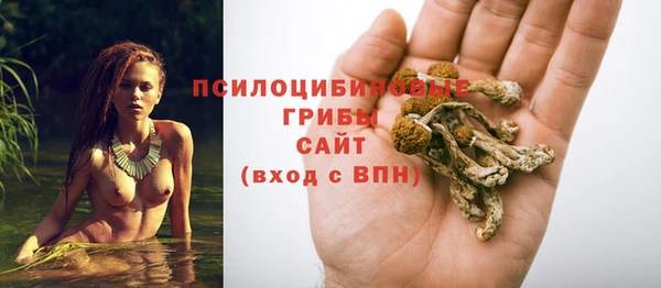 индика Абинск