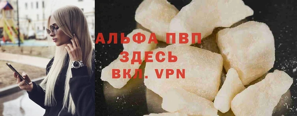 индика Абинск