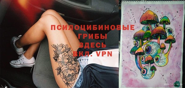 ГАЛЛЮЦИНОГЕННЫЕ ГРИБЫ Абаза