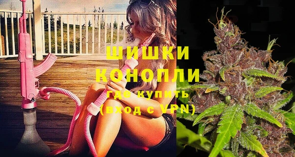 ГАЛЛЮЦИНОГЕННЫЕ ГРИБЫ Абаза