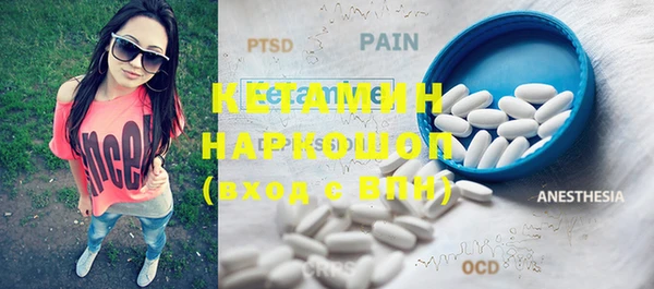 гидра Вязьма
