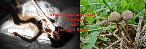 индика Абинск