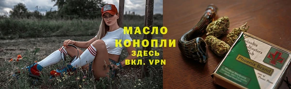 индика Абинск